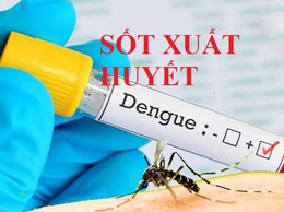 Tăng cường phòng, chống bệnh sốt xuất huyết