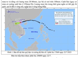 TIN BÃO TRÊN ĐẤT LIỀN
(Cơn bão số 3)