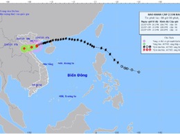 Tin bão khẩn cấp (Cơn bão số 3)