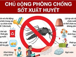UBND xã ban hành Kế hoạch Phòng, chống Sốt xuất huyết 6 tháng cuối năm 2025