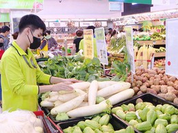 Đảm bảo an toàn thực phẩm đợt cao điểm phục vụ các hoạt động kỷ niệm 80 nămCách mạng tháng Tám thành công (19/8/1945-19/8/2025) và Quốc khánh nước CHXHCN Việt Nam(02/9/1945-02/9/2025)