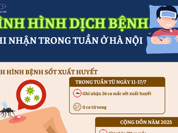 Thông tin tình hình dịch bệnh trên địa bàn thành phố Hà Nội từ (từ ngày 11/7 đến 17/7)
