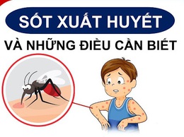 Cách phòng bệnh Sốt xuất huyết