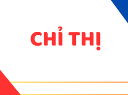 Chỉ thị 11/CT-UBND: Về việc triển khai Chiến dịch “45 ngày đêm ra quân hỗ trợ hoạt động chuyển đổi số tại các xã, phường trong giai đoạn đầu vận hành mô hình chính quyền địa phương hai cấp” trên địa bàn thành phố Hà Nội