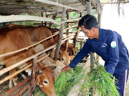 Hà Nội phê duyệt 10 quy trình giải quyết thủ tục hành chính lĩnh vực Kinh tế hợp tác và Phát triển nông thôn; Giảm nghèo