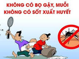Thông báo tổ chức chiến dịch tổng vệ sinh môi trường, diệt bọ gậy phòng chống dịch Sốt xuất huyết trên địa bàn phường Long Biên
