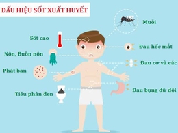 Tăng cường công tác phòng, chống bệnh sốt xuất huyết trên địa bàn phường Kiến Hưng