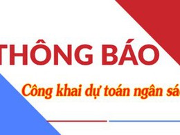 CÔNG KHAI DỰ TOÁN NGÂN SÁCH PHÒNG KINH TẾ XÃ ĐÔNG ANH NĂM 2055