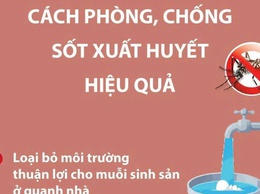 Cách phòng, tránh sốt xuất huyết hiệu quả