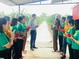 Hội Nông dân xã Thư Lâm tham quan, học tập mô hình trồng cây thanh long hiệu quả