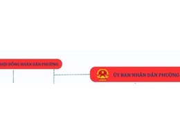 Sơ đồ bộ máy tổ chức
