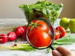 Đảm bảo an toàn thực phẩm phục vụ đợt cao điểm các hoạt động kỷ niệm 80 năm Cách mạng tháng Tám và Quốc khánh 2/9
