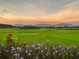 THÔNG BÁO TRỤ SỞ LÀM VIỆC CỦA CÁC CƠ QUAN