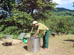 Bệnh binh Hoàng Công Tặng - quyết tâm phủ xanh vùng đồi gò