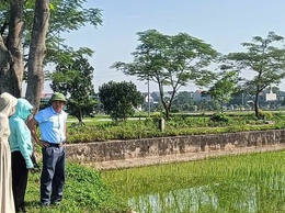 Thôn Yên Trường xã Ứng Thiên phối hợp triển khai mô hình lúa chất lượng cao