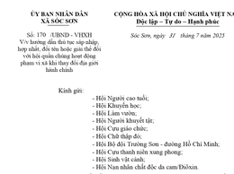 HƯỚNG DẪN THỦ TỤC SÁP NHẬN, HỢP NHẤT, ĐỔI TÊN HOẶC GIẢI THỂ ĐỐI VỚI HỘI QUẦN CHÚNG HOẠT ĐỘNG PHẠM VI XÃ KHI THAY ĐỔI ĐỊA GIỚI HÀNH CHÍNH