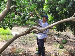 Thương binh Trần Hồng Sơn – Ký ức một thời binh lửa và khát vọng cống hiến giữa đời thường