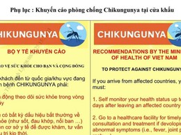 Bộ Y tế đề nghị tăng cường phòng, chống bệnh Chikungunya