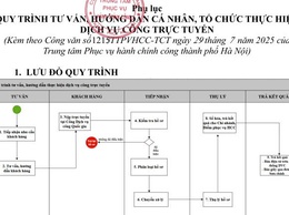 Quy trình tư vấn, hướng dẫn cá nhân, tổ chức, doanh nghiệp thực hiện Dịch vụ công trực tuyến