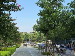 Hà Nội ngày 11/8 nắng, có nơi nắng nóng, chiều tối và đêm có khả năng xuất hiện mưa dông