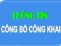 Thông báo công khai kết quả lựa chọn tổ chức thuê đất ngắn hạn đối với ô đất G.6/P1 và G.6/CCKO1 phường Long Biên