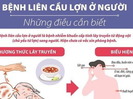 CHỦ ĐỘNG PHÒNG, CHỐNG BỆNH LIÊN CẦU LỢN