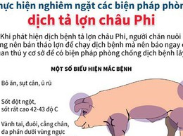 Hà Nội tăng cường tuyên truyền, phòng chống bệnh Dịch tả lợn Châu Phi