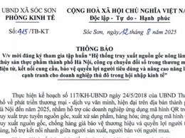 UBND XÃ SÓC SƠN MỜI ĐĂNG KÝ THAM GIA TẬP HUẤN 