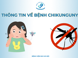 Bệnh CHIKUNGUNYA và cách phòng tránh