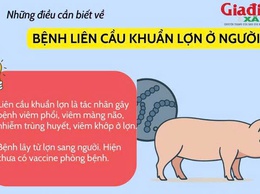 Tăng cường phòng, chống bệnh liên cầu lợn trên người
