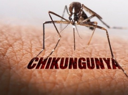 Khuyến cáo phòng, chống bệnh Chikungunya