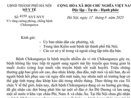 UBND phường Thông báo văn bản số 4159/SYT-NVY ngày 12/8/2025 về tăng cường phòng chống dịch bệnh Chikungunya