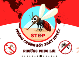 Phường Phúc Lợi tổ chức chiến dịch tổng vệ sinh môi trường, diệt bọ gậy, phòng, chống bệnh Sốt xuất huyết trên địa bàn phường năm 2025