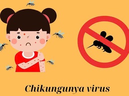 KHUYẾN CÁO PHÒNG CHỐNG BỆNH CHIKUNGUNYA