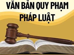 Tăng cường xử lý vi phạm hành chính trong lĩnh vực môi trường theo Nghị quyết số 08/2025/NQ-HĐND và các văn bản pháp luật liên quan
