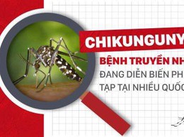 Tăng cường giám sát dịch bệnh Chikungunya tại cửa khẩu quốc tế Nội Bài