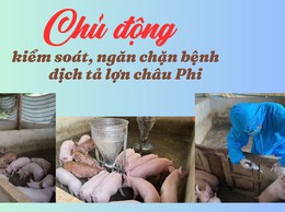 PHÒNG, CHỐNG BỆNH DỊCH TẢ LỢN CHÂU PHI