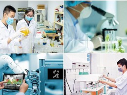 Hà Nội phê duyệt 181 quy trình điện tử trong lĩnh vực Khoa học và Công nghệ thuộc phạm vi chức năng quản lý nhà nước của Sở Khoa học và Công nghệ