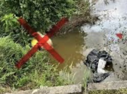Kiểm soát và xử lý nghiêm, kịp thời, triệt để hành vi vi phạm vứt xác động vật, sản phẩm động vật mang mầm bệnh ra môi trường