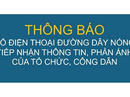 Thông báo công khai số điện thoại đường dây nóng phục vụ công tác tiếp nhận thông tin, phản ánh của tổ chức, công dân