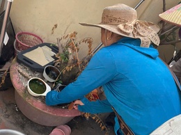 Xã Quang Minh tăng cường phòng chống sốt xuất huyết: Đồng loạt ra quân diệt loăng quăng, bọ gậy, xử lý triệt để ca bệnh