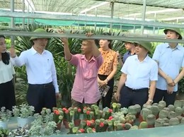Phúc Thọ: Nông nghiệp chuyển mình theo hướng sinh thái, hiện đại và bền vững