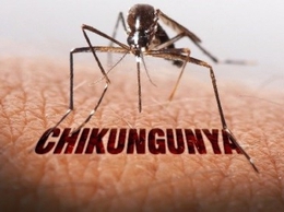Bệnh  Chikungunya – Nguyên nhân, triệu chứng và biện pháp phòng ngừa