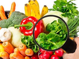 Tăng cường bảo đảm an ninh, an toàn thực phẩm trong tình hình mới trên địa bàn phường Kiến Hưng 6 tháng cuối năm 2025