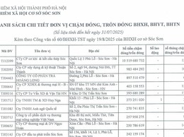 DANH SÁCH CÁC ĐƠN VỊ CHẬM ĐÓNG BẢO HIỂM XÃ HỘI TRÊN ĐỊA BÀN XÃ SÓC SƠN