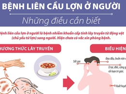 Các thông điệp phòng chống bệnh liên cầu lợn ở người