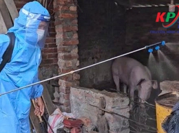 Phòng Kinh tế xã Kiều Phú triển khai công tác vệ sinh, khử trùng, tiêu độc phòng chống dịch bệnh sau mùa mưa lũ
