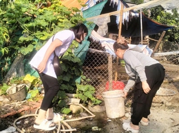 Phú Nghĩa tổ chức tổng vệ sinh môi trường phòng chống dịch sốt xuất huyết đợt 6 năm 2025