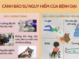 Tiếp tục xây dựng vùng an toàn dịch bệnh động vật đối với bệnh Dại trên địa bàn phường Kiến Hưng