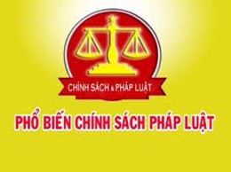 Nghị định 229/2025/NĐ-CP